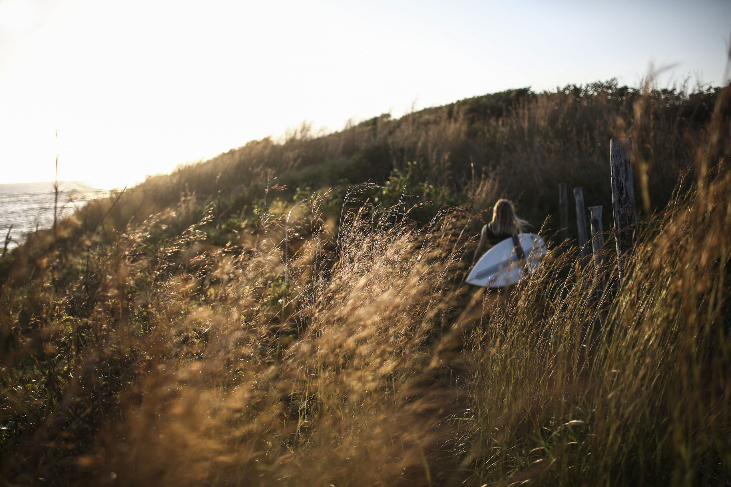 Une femme est visible de dos, marchant avec une planche de surf sous le bras, en arrière plan alors qu'elle se fraye un chemin dans la végétation sèche en premier plan. Cette photographie est issue du long reportage réalisé en immersion par Gabriela Tellez (Light Motiv) sur les communautés des femmes surfeuses de l'Océan Pacifique à Nosara au Costa Rica.